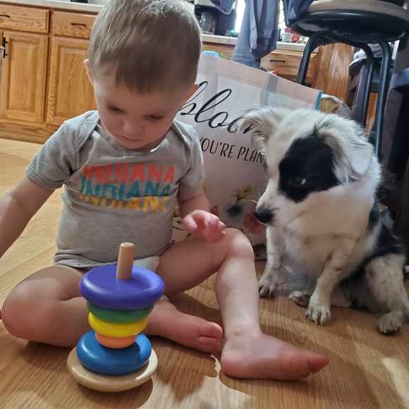 Wooden stacking Ring toddler Toy Fun - Picture 4 of 5